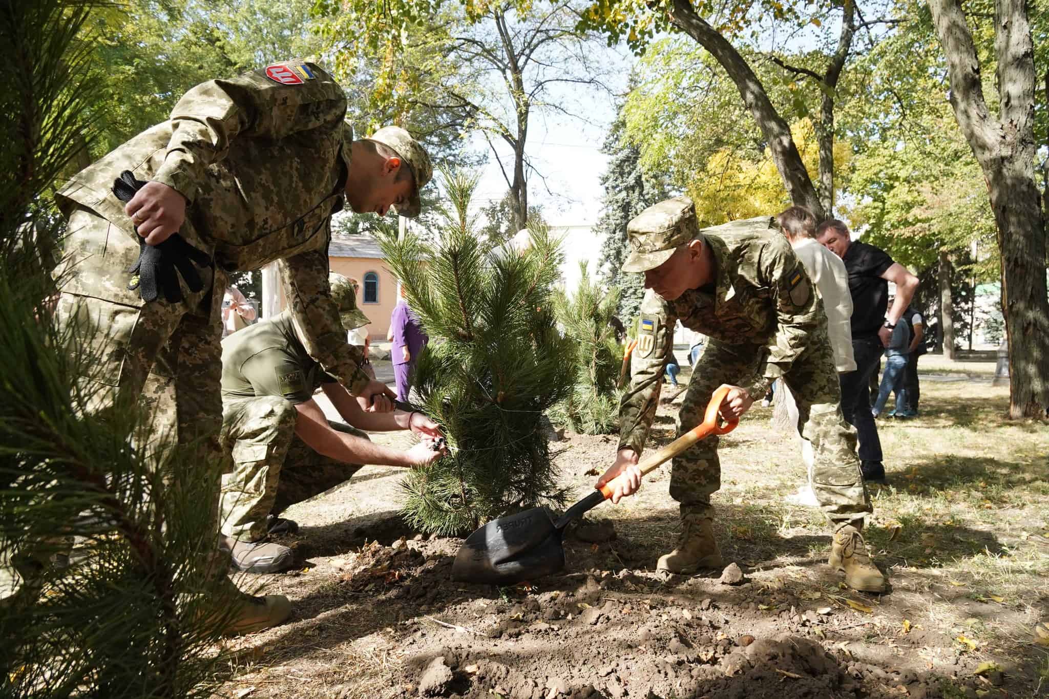 На «Алеї Захисників Луганщини» у Дніпрі висадили кримські сосни на честь полеглих Героїв