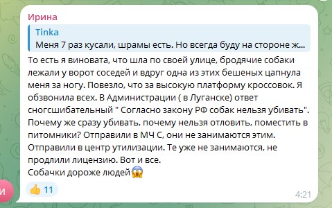 Безпритульні собаки стають загрозою для людей на окупованій Луганщині