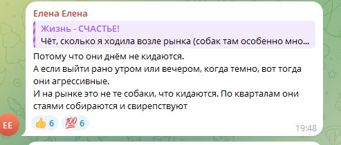 Безпритульні собаки стають загрозою для людей на окупованій Луганщині