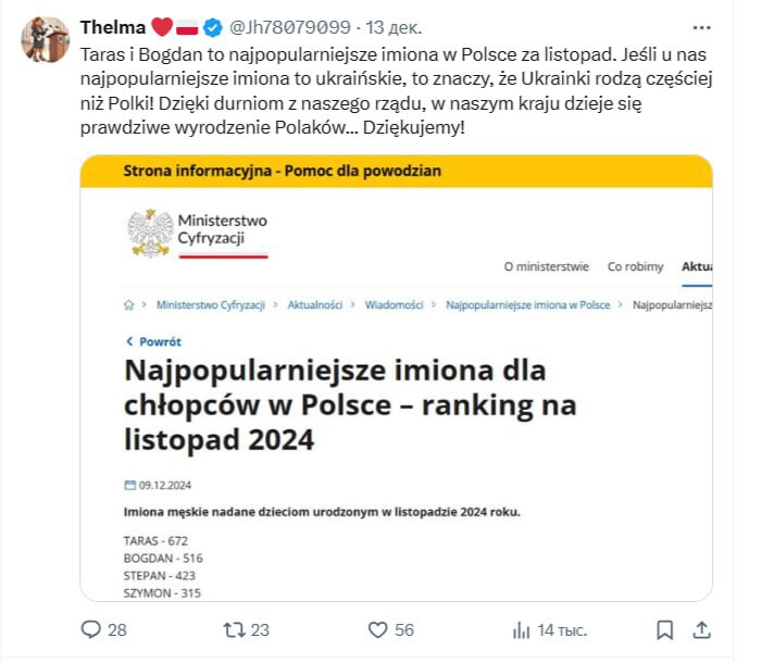 Три імені, що налякали Польщу: «Поляки вимирають через високу народжуваність серед українських біженок»