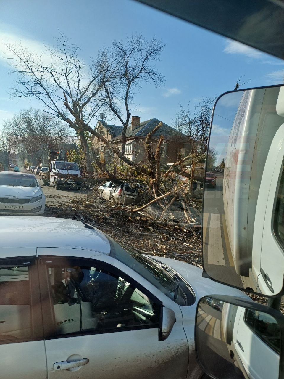 В окупованому Луганську на автівки впало дерево