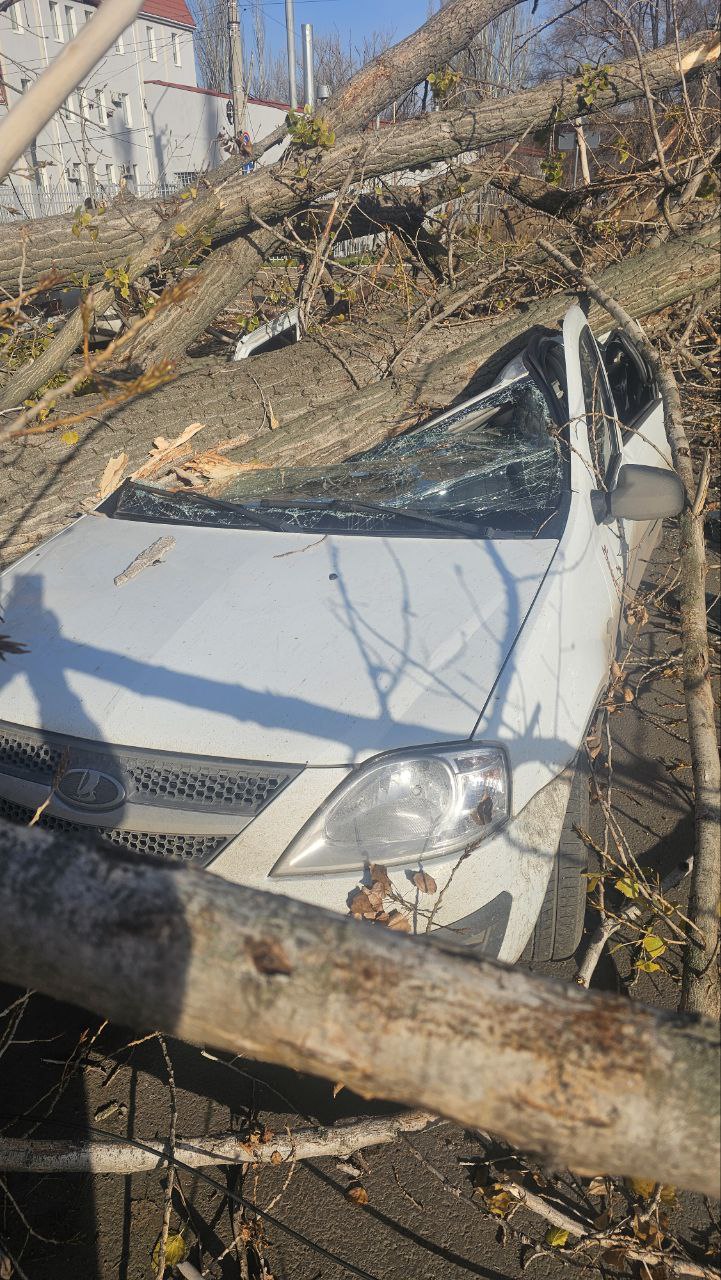 В окупованому Луганську на автівки впало дерево