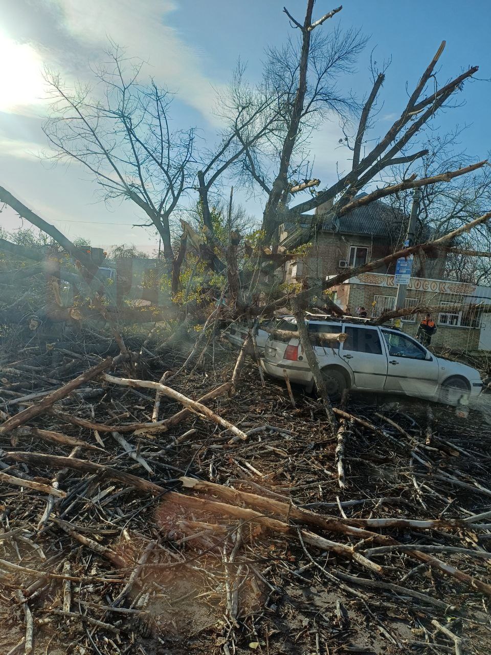 В окупованому Луганську на автівки впало дерево