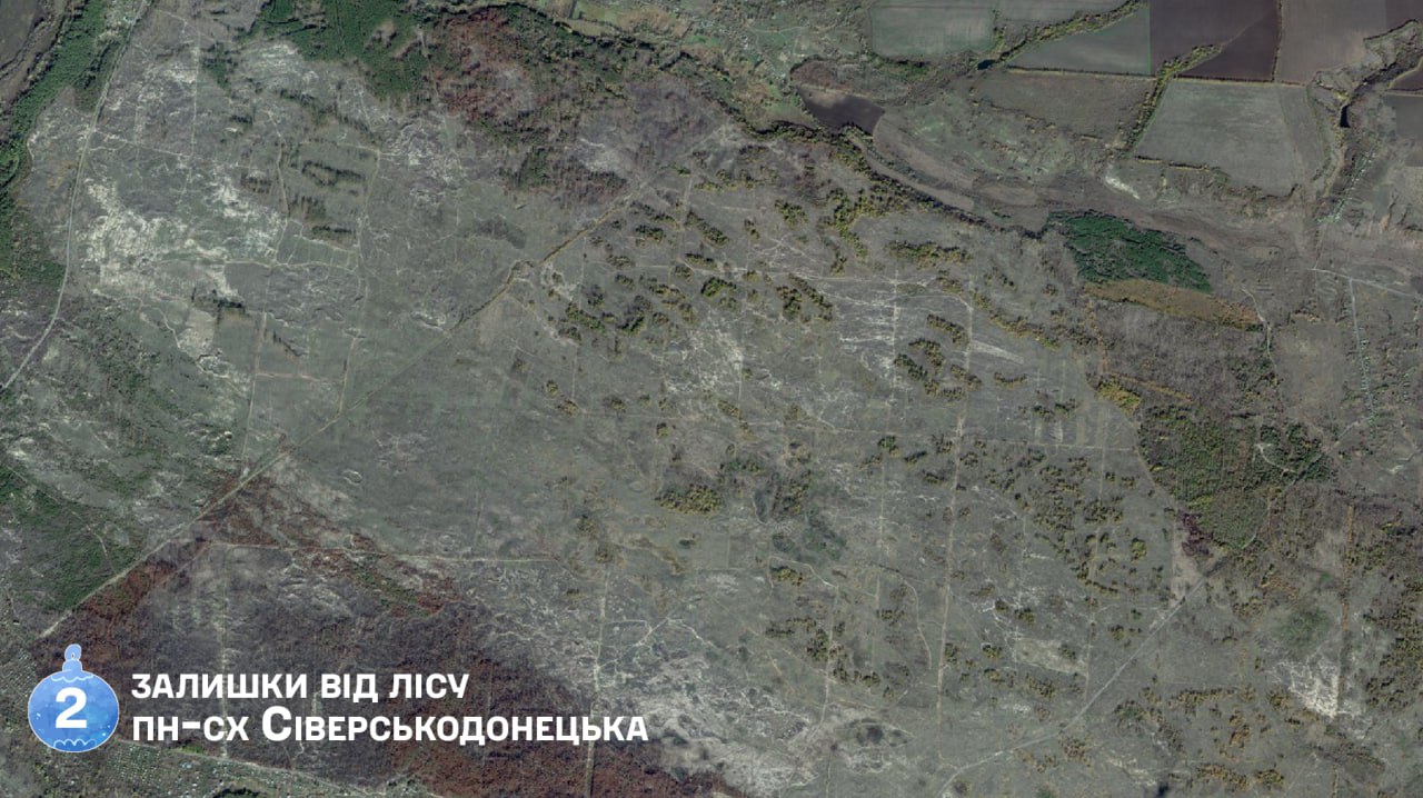 Окупанти повністю вирізали ліс між Боровеньками та Пурдівкою Сіверськодонецької громади (фото)