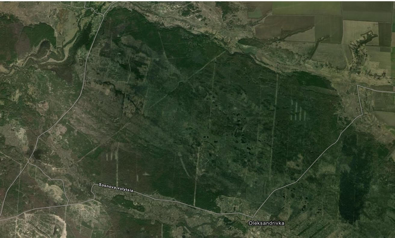 Окупанти повністю вирізали ліс між Боровеньками та Пурдівкою Сіверськодонецької громади (фото)