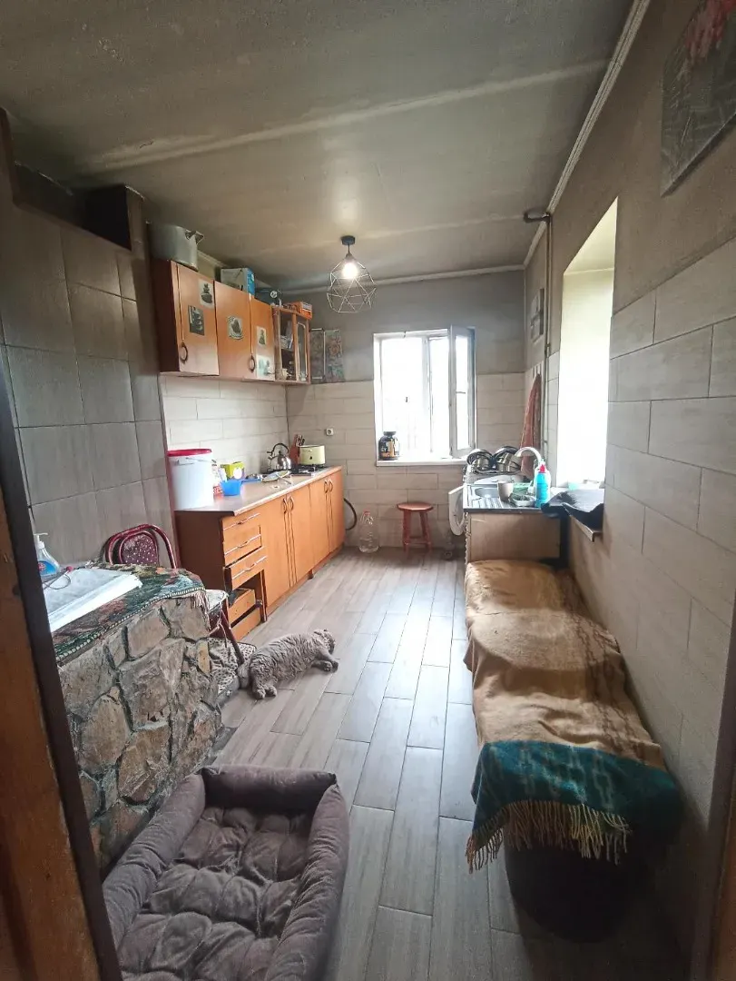 Притулок у Покровську