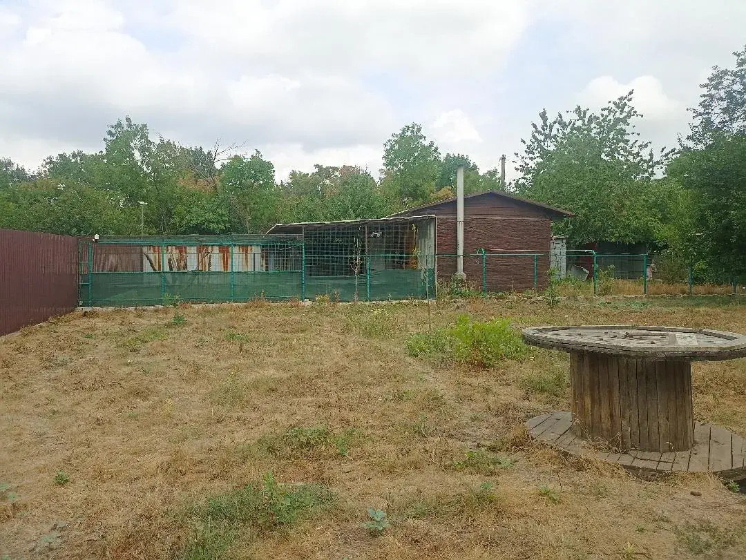 Притулок у Покровську