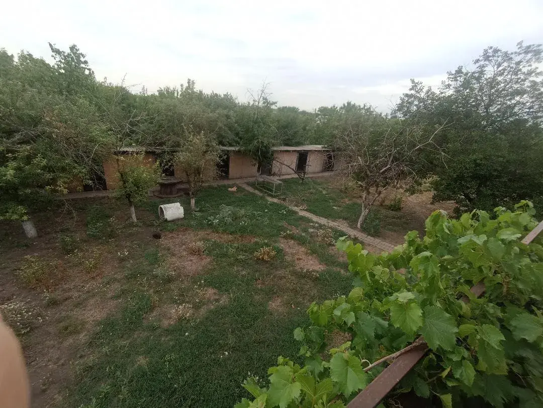 Притулок у Покровську