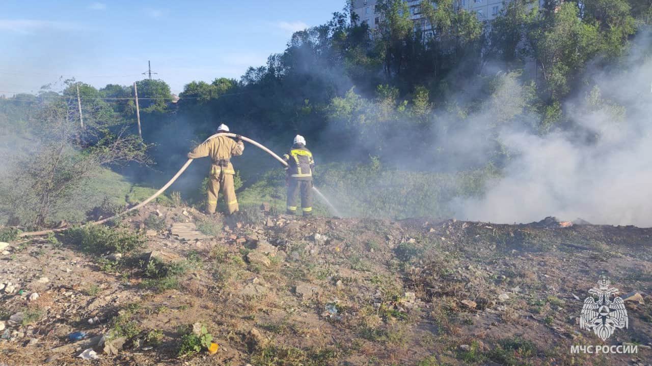 На окупованій Луганщині згоріло майже 80 гектарів сухостою